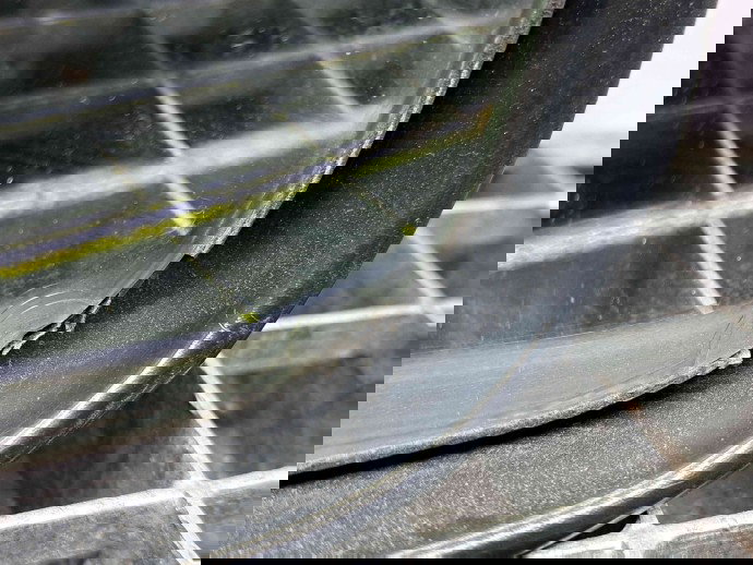 Oglinda dreapta Toyota Rav 4 III (ACA3, ACE, ALA3, GSA3, ZSA3) [Fabr 2005-2013] ALBASTRU