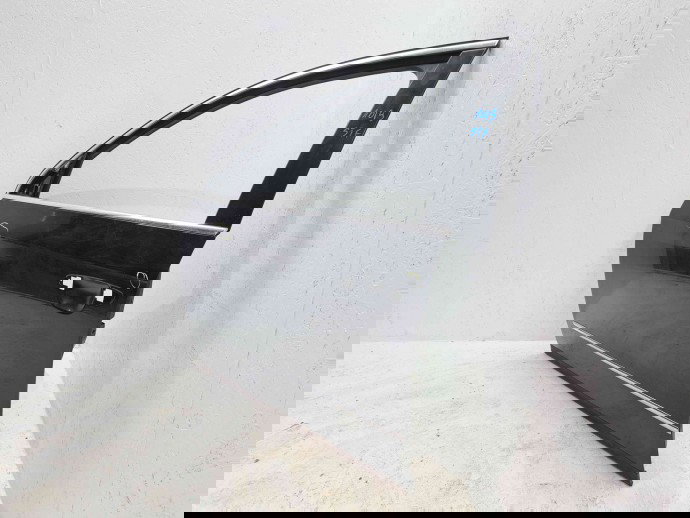 Usa stanga fata Volkswagen Passat B6 (3C2) [Fabr 2005-2010] L041