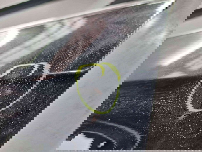 Usa stanga fata Volkswagen Passat B6 (3C2) [Fabr 2005-2010] L041