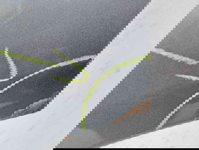 Usa stanga spate Audi Q7 (4LB) [ Fabr 2006-2014] LY7E