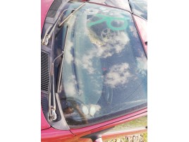 Parbriz Renault Megane 1 1.6 benz K4M OEM 1995-2003