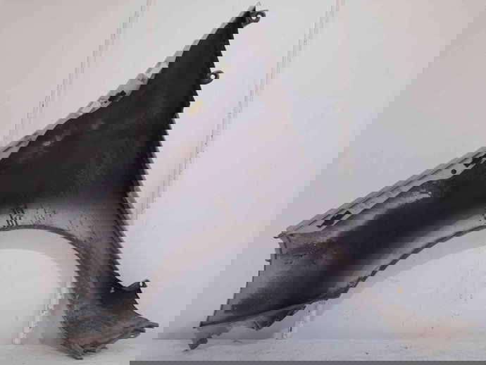 Aripa dreapta fata Renault Modus [Fabr 2004-2012] MV632