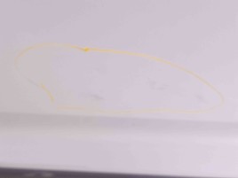 Usa stanga fata Volkswagen Passat B8 Variant (3G5) [Fabr 2015-prezent] LA7W