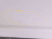 Usa stanga fata Volkswagen Passat B8 Variant (3G5) [Fabr 2015-prezent] LA7W