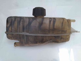 Vas expansiune Renault Modus [Fabr 2004-2012] OEM