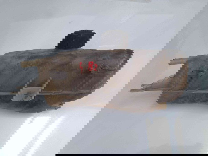 Vas expansiune Renault Modus [Fabr 2004-2012] OEM
