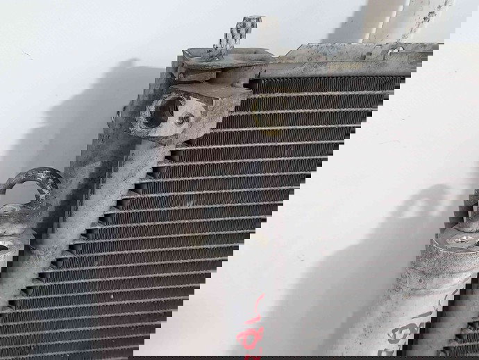 Radiator apa   Renault Modus [Fabr 2004-2012] 8200221498 1.6 K4M K4M-67-94