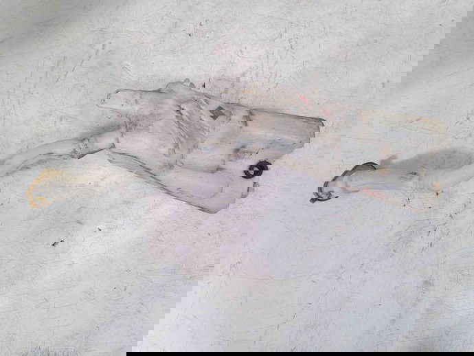 Vas lichid parbriz Renault Modus [Fabr 2004-2012] 8200212701 1.6 K4M K4M-67-94