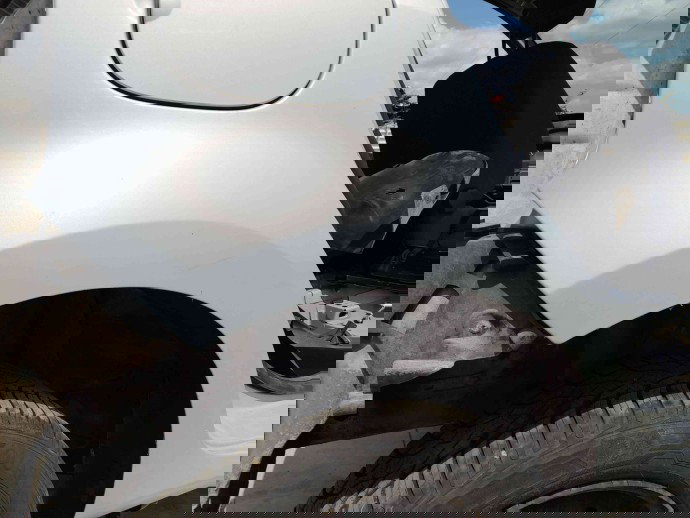 Aripa dreapta spate Renault Modus [Fabr 2004-2012] OEM