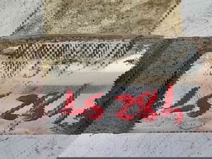 Planetara stanga fata Renault Modus [Fabr 2004-2012] 8200511220 1.6 K4M K4M-67-94