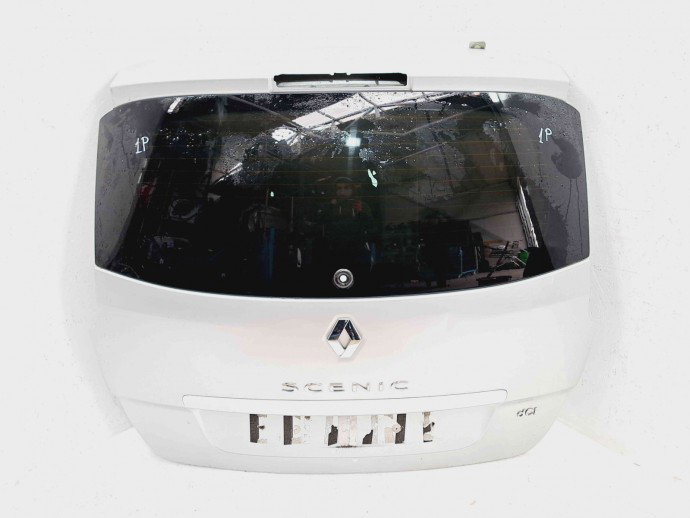 Haion Renault Scenic 3 [Fabr 2009-2015] TED69