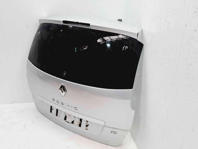 Haion Renault Scenic 3 [Fabr 2009-2015] TED69