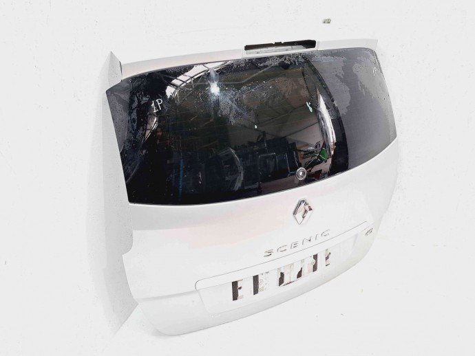 Haion Renault Scenic 3 [Fabr 2009-2015] TED69
