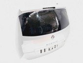 Haion Renault Scenic 3 [Fabr 2009-2015] TED69