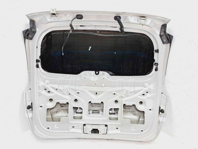 Haion Renault Scenic 3 [Fabr 2009-2015] TED69