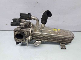 Racitor gaze Seat Leon (1P1) [Fabr 2005-2011] 038131513AD 1.9 TDI BXE  