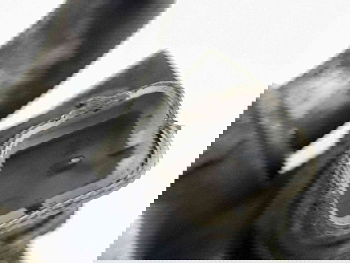 Termoflot Ford S-Max 1 [Fabr 2006-2014] 9656830180 2.0 TDCI QXWB