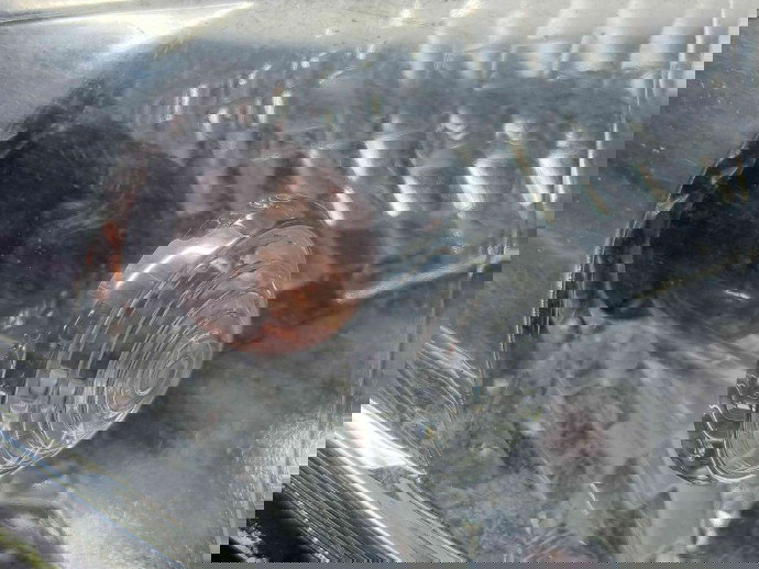  Far dreapta Hyundai i30 (FD) [Fabr 2007-2012] 92102-2LXXX