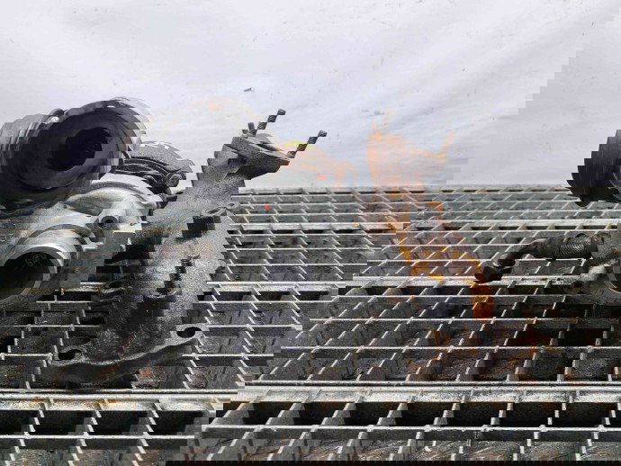 Turbina Seat Leon (1P1) [Fabr 2005-2011] 038253016K 1.9 TDI BXE 77KW / 105CP  