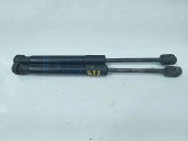 Amortizor capota Bmw 3 (F30) [Fabr 2012-2017] 7239233-06