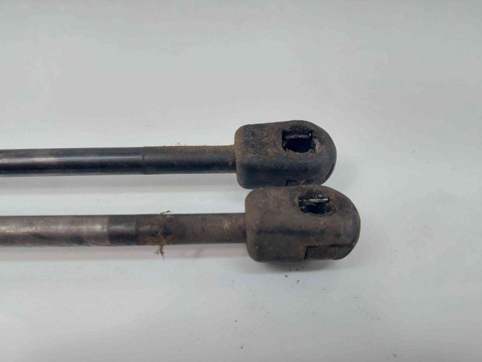 Amortizor capota Bmw 3 (F30) [Fabr 2012-2017] 7239233-06