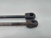 Amortizor capota Bmw 3 (F30) [Fabr 2012-2017] 7239233-06