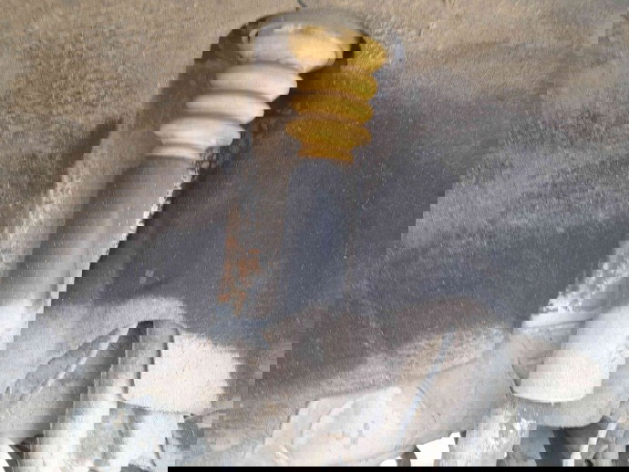 Amortizor dreapta spate   Skoda Octavia 2 (1Z3) [Fabr 2004-2013] OEM 2.0 