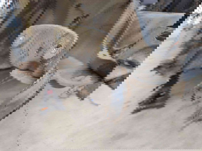 Suport aripa dreapta fata Skoda Octavia 2 (1Z3) [Fabr 2004-2013] OEM