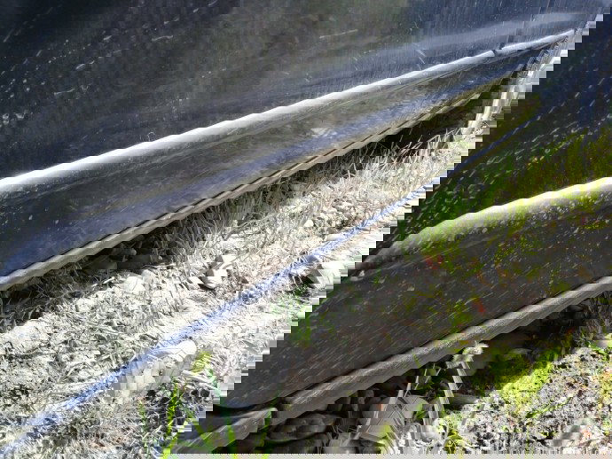 Prag dreapta Daewoo Nubira 1.6benz OEM 2000-2002