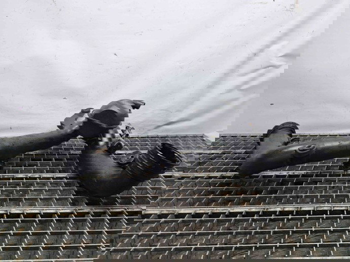 Tub intercooler Audi A3 (8P1) [Fabr 2003-2012] 1K0145762AT | 1K0145770B 1.9 TDI BKC 1.9 TDI BKC 77KW / 105CP