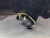 Usa dreapta fata Volkswagen Golf 6 (5K1) [Fabr 2009-2013] LC9X