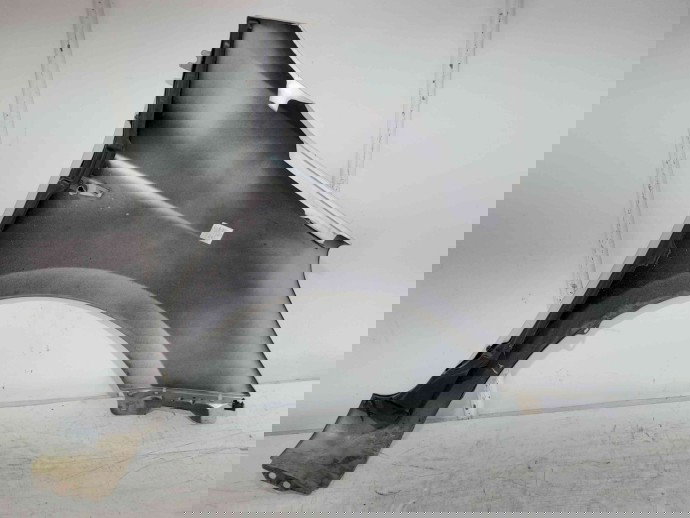 Aripa stanga fata  Hyundai i20 (PB,PBT) [Fabr 2008-2014]