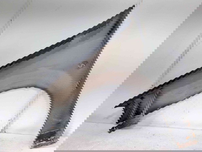 Aripa dreapta fata Dacia Logan (LS) [Fabr 2004-2012] OEM