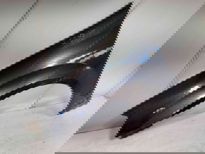 Aripa stanga fata  Dacia Logan (LS) [Fabr 2004-2012] OEM