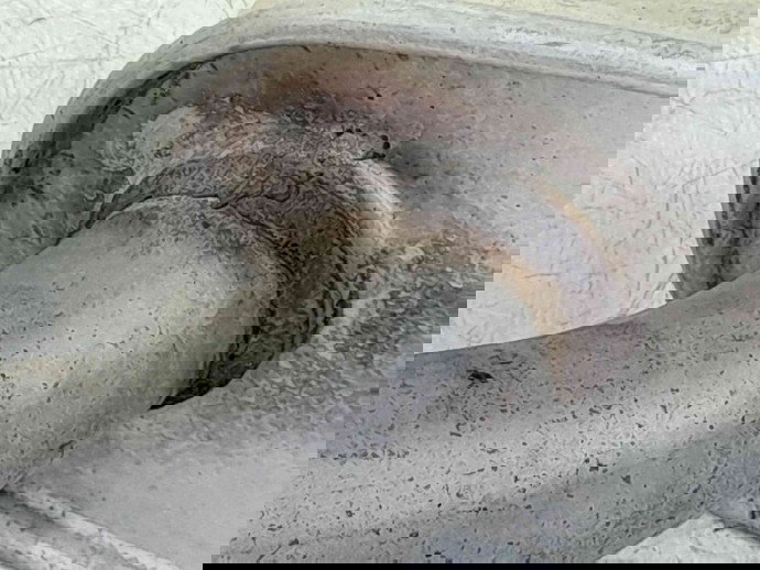 Toba esapament  Ford S-Max 1 [Fabr 2006-2014] OEM 2.0 TDCI QXWB 