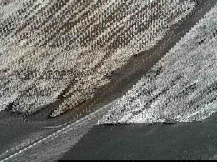 Stop aripa stanga Ford S-Max 1 [Fabr 2006-2014] 6M21-13405-AJ