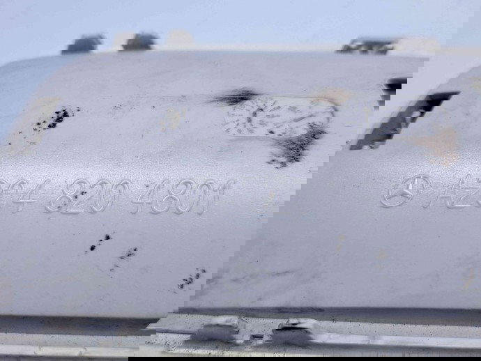  Plafoniera fata Mercedes Clasa E (W207) Coupe [Fabr 2009-2012] A2049064403 / A2048204801