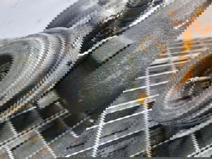 Turbina Audi A3 (8P1) [Fabr 2003-2012] 03G253014F 1.9 TDI BXE 77KW / 105CP  