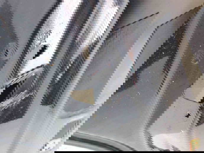 Usa stanga spate Seat Leon (1P1) [Fabr 2005-2011] LC9X