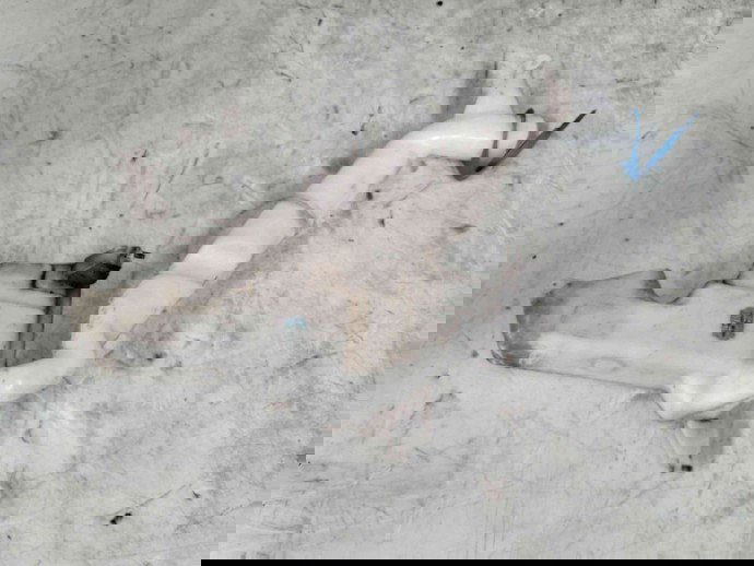 Vas lichid parbriz  Skoda Fabia 2 (5J, 542) [Fabr 2007-2014] 6Q0955453N 1.2  