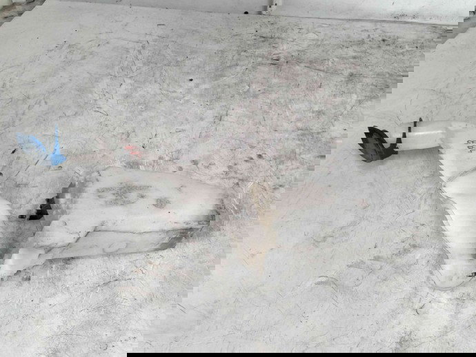 Vas lichid parbriz  Skoda Fabia 2 (5J, 542) [Fabr 2007-2014] 6Q0955453N 1.2  