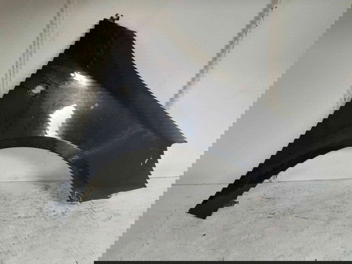 Aripa dreapta fata Skoda Fabia 2 (5J, 542) [Fabr 2007-2014] LF9R 