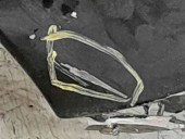 Aripa dreapta fata Skoda Fabia 2 (5J, 542) [Fabr 2007-2014] LF9R 