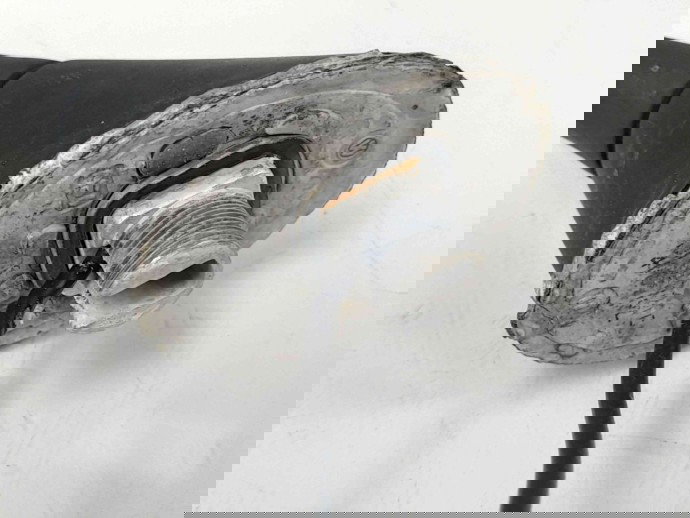 Antena  Skoda Fabia 2 (5J, 542) [Fabr 2007-2014] OEM 