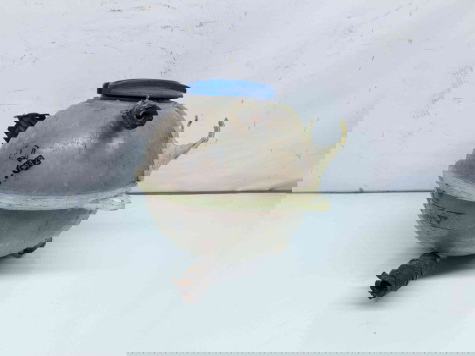 Vas expansiune Audi A3 (8P1) [Fabr 2003-2012] 1K0121407A