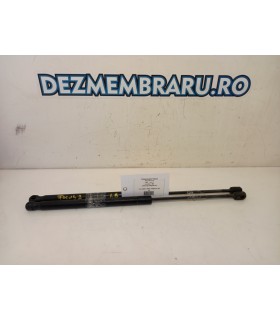 Amortizoare Haion Ford Focus 2 1.8 TDCI 4M51 A406A10 AB 2004-2012