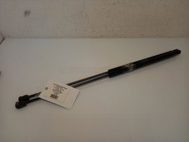 Amortizoare Porbagaj Fiat Croma 1.9 JTD OEM 2005-2010