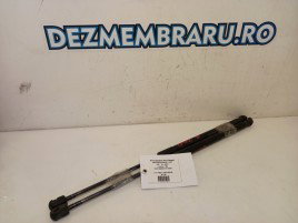 Amortizoare Portbagaj Mercedes Benz A 200 2.0 CDI 1697400045 2004-2012