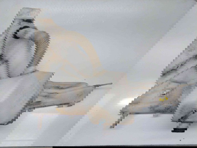 Vas lichid parbriz Volvo S40 II (MS) [Fabr 2004-2012] 4N51-13K163-AE 2.0 D5204T