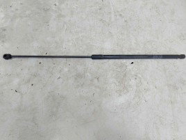 Amortizor capota Volvo S40 II (MS) [Fabr 2004-2012] 5095ZY0140N